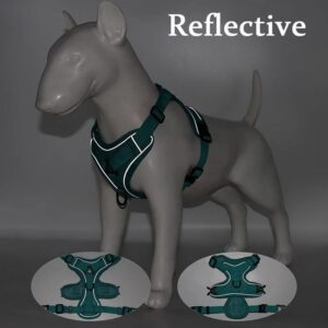 Harnais Anti-Traction et Laisse pour Bouledogue Français harness