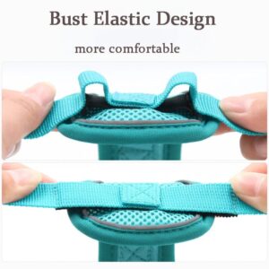 Harnais Anti-Traction et Laisse pour Bouledogue Français harness