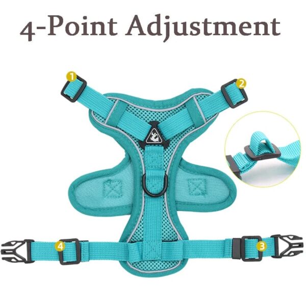 Harnais Anti-Traction et Laisse pour Bouledogue Français harness