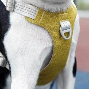 Bouledogue Avenue Pour Bouli Harnais Bouledogue Français Gilet De Poitrine Réfléchissant
