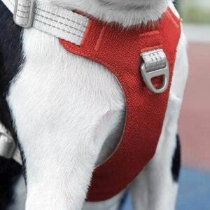 Bouledogue Avenue Pour Bouli Harnais Bouledogue Français Gilet De Poitrine Réfléchissant