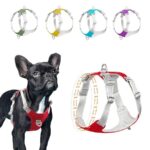 Bouledogue Avenue Pour Bouli Harnais Bouledogue Français Gilet De Poitrine Réfléchissant