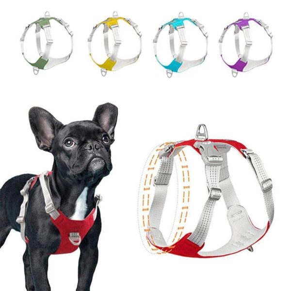 Bouledogue Avenue Pour Bouli Harnais Bouledogue Français Gilet De Poitrine Réfléchissant