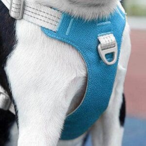 Bouledogue Avenue Pour Bouli Harnais Bouledogue Français Gilet De Poitrine Réfléchissant