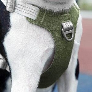 Bouledogue Avenue Pour Bouli Harnais Bouledogue Français Gilet De Poitrine Réfléchissant