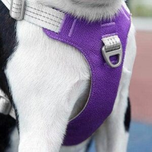 Bouledogue Avenue Pour Bouli Harnais Bouledogue Français Gilet De Poitrine Réfléchissant