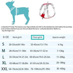 Bouledogue Avenue Pour Bouli Harnais Bouledogue Français Gilet De Poitrine Réfléchissant