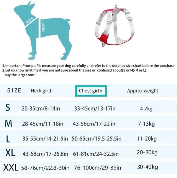 Bouledogue Avenue Pour Bouli Harnais Bouledogue Français Gilet De Poitrine Réfléchissant