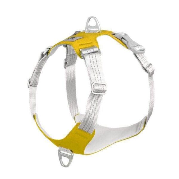 Bouledogue Avenue Pour Bouli Jaune / S Harnais Bouledogue Français Gilet De Poitrine Réfléchissant