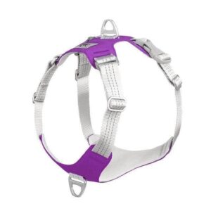 Bouledogue Avenue Pour Bouli Mauve / M Harnais Bouledogue Français Gilet De Poitrine Réfléchissant