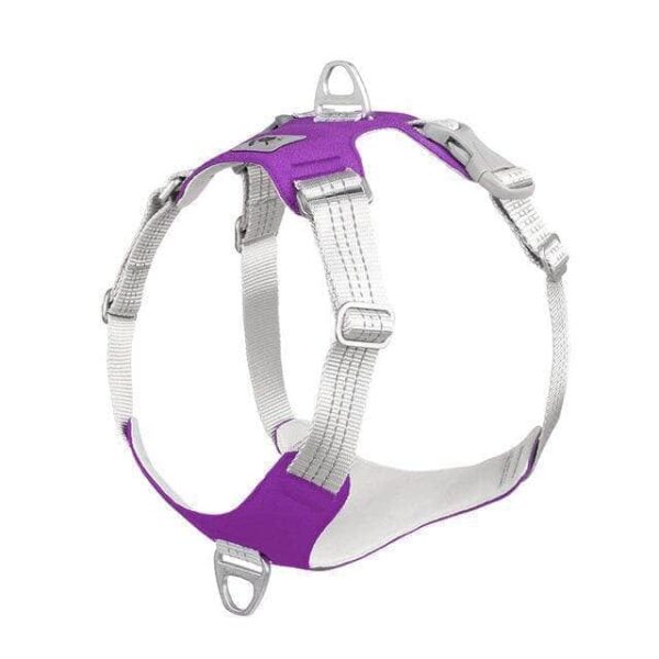 Bouledogue Avenue Pour Bouli Mauve / M Harnais Bouledogue Français Gilet De Poitrine Réfléchissant