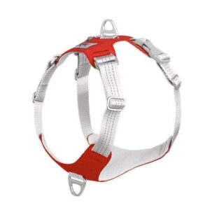 Bouledogue Avenue Pour Bouli Rouge / S Harnais Bouledogue Français Gilet De Poitrine Réfléchissant