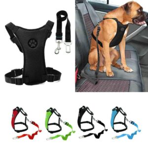 Bouledogue Avenue Pour Bouli Harnais et Laisse de Voiture