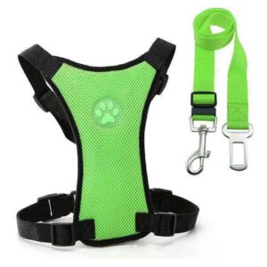 Bouledogue Avenue Pour Bouli Vert / L Harnais et Laisse de Voiture