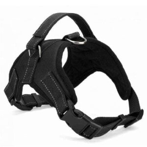 Bouledogue Avenue Pour Bouli Noir / L Harnais Rembouré Ajustable