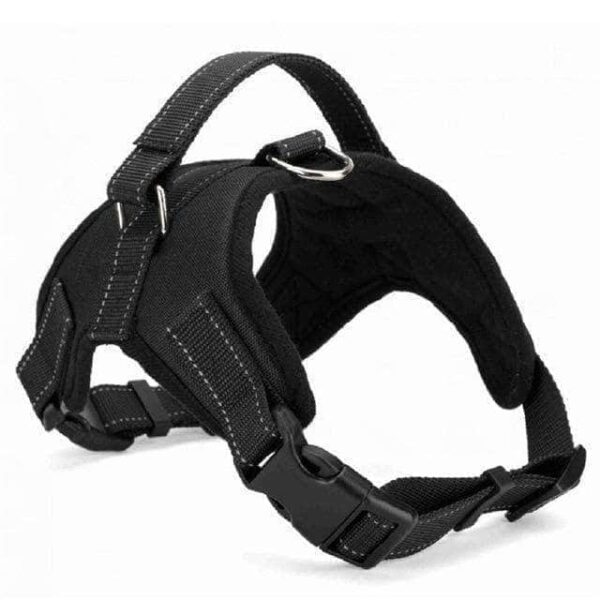 Bouledogue Avenue Pour Bouli Noir / L Harnais Rembouré Ajustable