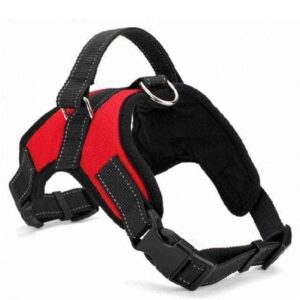 Bouledogue Avenue Pour Bouli Rouge / L Harnais Rembouré Ajustable