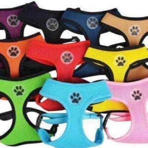 Bouledogue Avenue Pour Bouli Harnais Respirant Souple - Patte de Chien