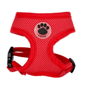 Bouledogue Avenue Pour Bouli Rouge / M Harnais Respirant Souple - Patte de Chien