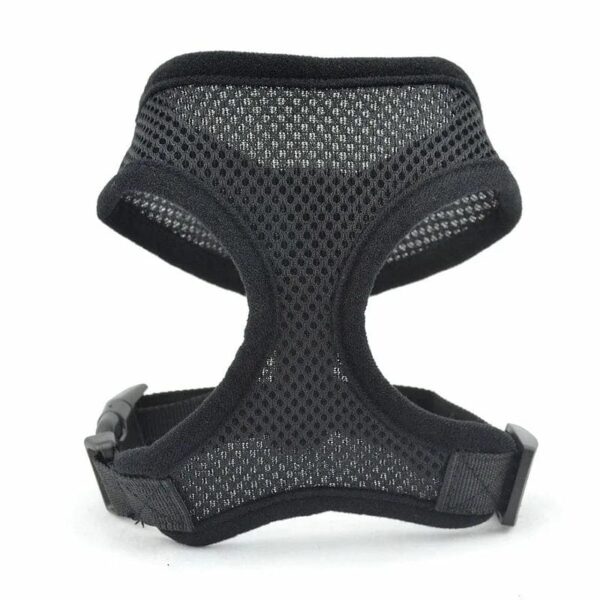 Harnais Respirant tout Simple Pour Bouli Noir / XS