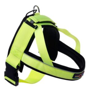 Bouledogue Avenue Harnais Sangle Poitrine pour Bouledogue