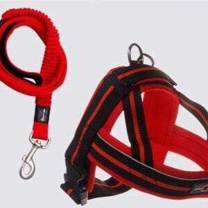 Bouledogue Avenue Rouge / L Harnais Sangle Poitrine pour Bouledogue