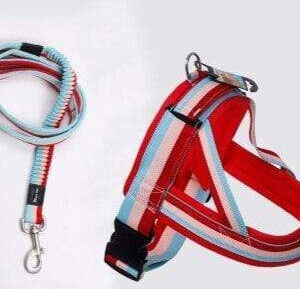 Bouledogue Avenue Rouge/Rose/bleu / L Harnais Sangle Poitrine pour Bouledogue