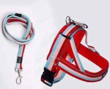 Bouledogue Avenue Rouge/Rose/bleu / L Harnais Sangle Poitrine pour Bouledogue