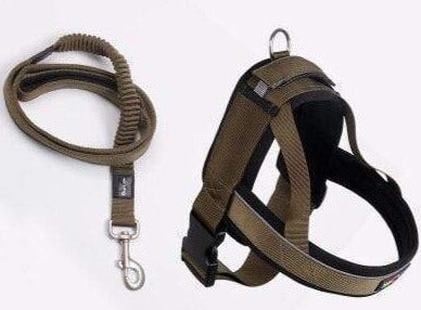 Bouledogue Avenue Vert / S Harnais Sangle Poitrine pour Bouledogue