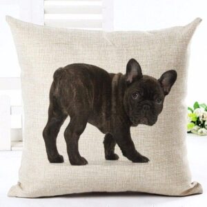 Bouledogue Avenue Pour Humains 450mm*450mm / 1 Housse de coussin - Bouledogue Français