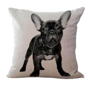 Bouledogue Avenue Pour Humains Housse de coussin - Bouledogue Français