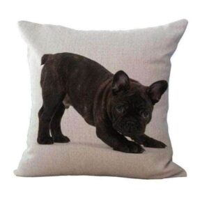 Bouledogue Avenue Pour Humains Housse de coussin - Bouledogue Français