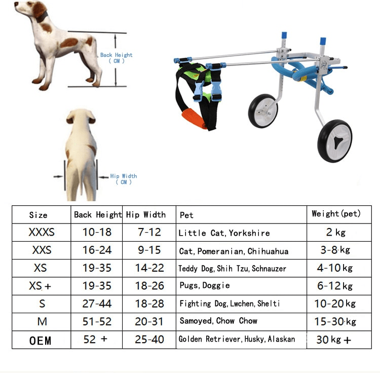 Chariot Roulant Ajustable Pour Chien 22 taille
