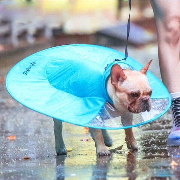 Bouledogue Avenue Imperméable Parapluie pour Chien