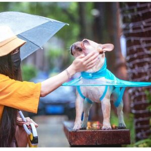 Bouledogue Avenue Imperméable Parapluie pour Chien