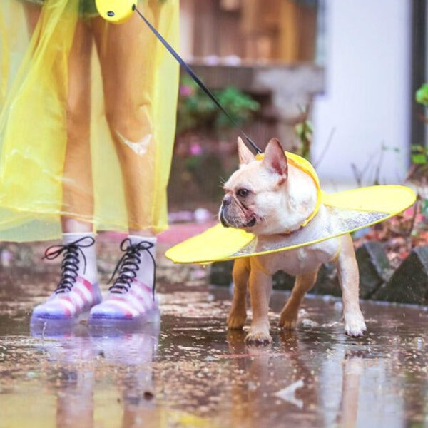 Bouledogue Avenue Imperméable Parapluie pour Chien