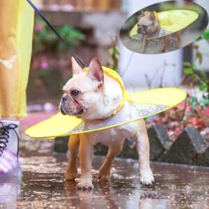 Bouledogue Avenue Imperméable Parapluie pour Chien