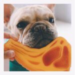 Bouledogue Avenue Pour Bouli Jouet à Mâcher - Cotelette en Plastique