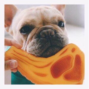 Bouledogue Avenue Pour Bouli Jouet à Mâcher - Cotelette en Plastique