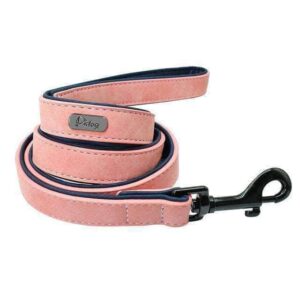 Bouledogue Avenue Pour Bouli Laisse en cuir de qualité supérieure - 1m20