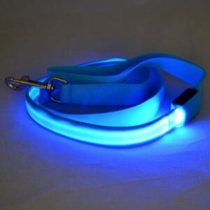 Bouledogue Avenue Pour Bouli Blue / Width 25mm Laisse Lumineuse LED
