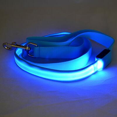 Bouledogue Avenue Pour Bouli Blue / Width 25mm Laisse Lumineuse LED
