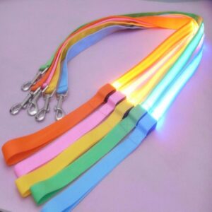 Bouledogue Avenue Pour Bouli Laisse Lumineuse LED