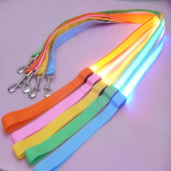 Bouledogue Avenue Pour Bouli Laisse Lumineuse LED