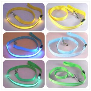 Bouledogue Avenue Pour Bouli Laisse Lumineuse LED