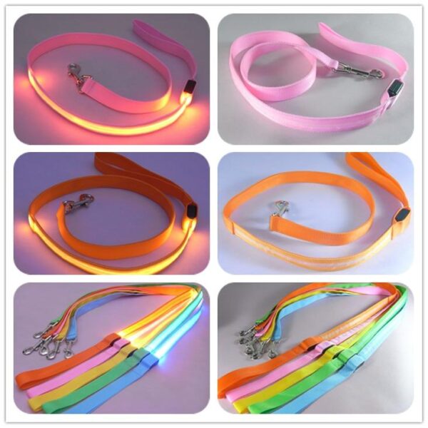 Bouledogue Avenue Pour Bouli Laisse Lumineuse LED