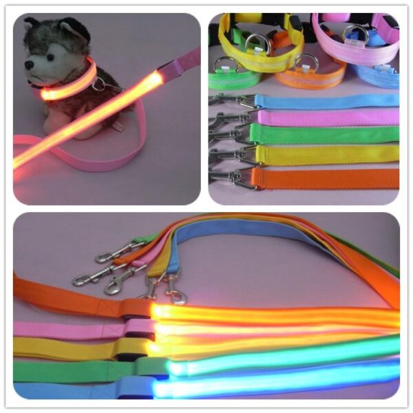 Bouledogue Avenue Pour Bouli Laisse Lumineuse LED