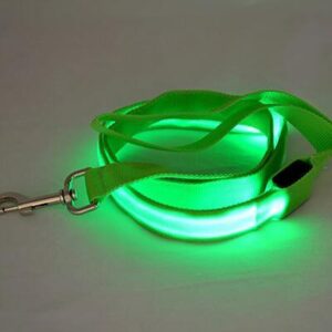 Bouledogue Avenue Pour Bouli Green / Width 25mm Laisse Lumineuse LED