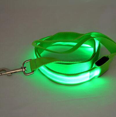 Bouledogue Avenue Pour Bouli Green / Width 25mm Laisse Lumineuse LED