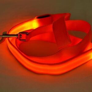 Bouledogue Avenue Pour Bouli Orange / Width 25mm Laisse Lumineuse LED